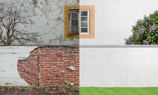 Trusted King City, CA Mold Removal Experts